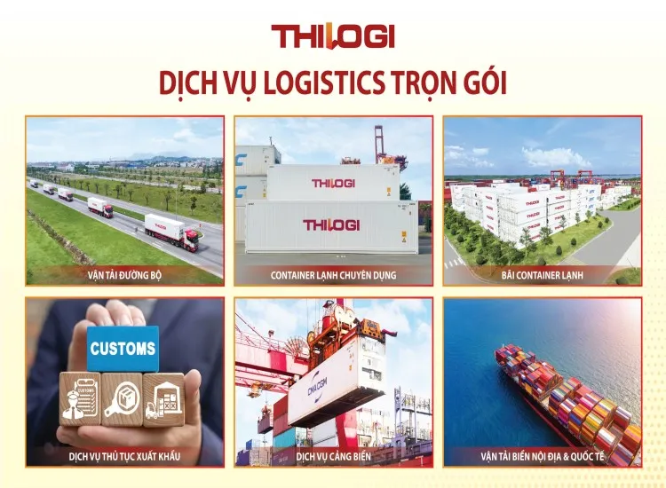 Công ty TNHH Giao nhận vận chuyển Quốc tế Trường Hải - THILOGI
