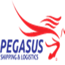 PEGASUS SHIPPING AND INVESTMENT COMPANY LIMITED