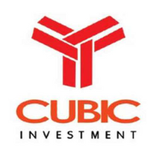 CUBIC INVESTMENT  