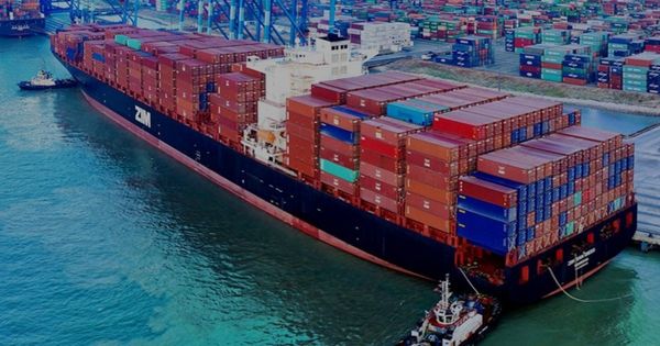 ZIM surpasses Yang Ming on global container shipping line rankings