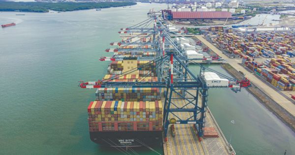 Freight Rates Could Further Decrease