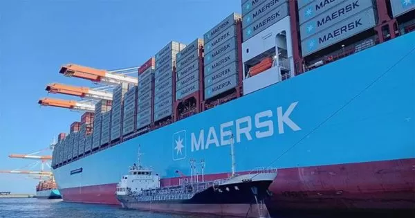 Maersk: Container Demand Remains Strong in Q4/2024