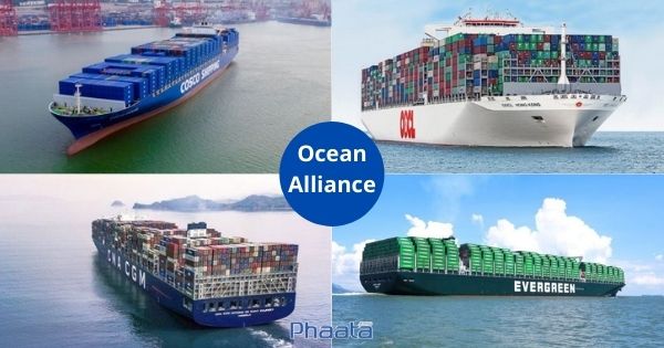 Ocean Alliance