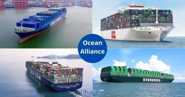 Ocean Alliance