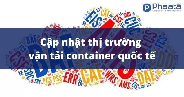 cước vận chuyển và cập nhật thi truong vận chuyển container tuần 16