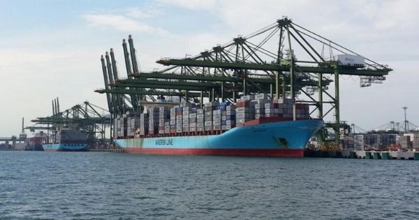hang-tau-container-Maersk-line